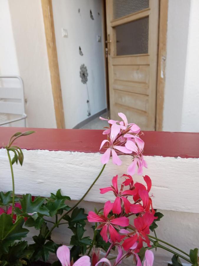 Appartement Da Valentina à Castelfondo Extérieur photo